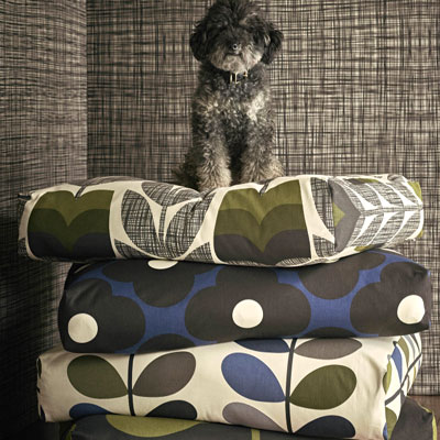 Orla Kiely - Designs