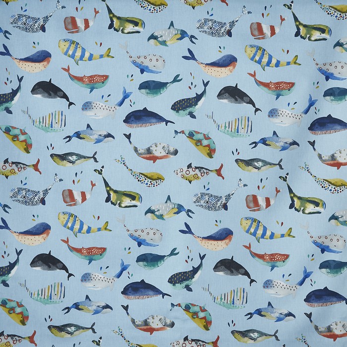 Whale Watching - Pacific - £18.00 per metre
