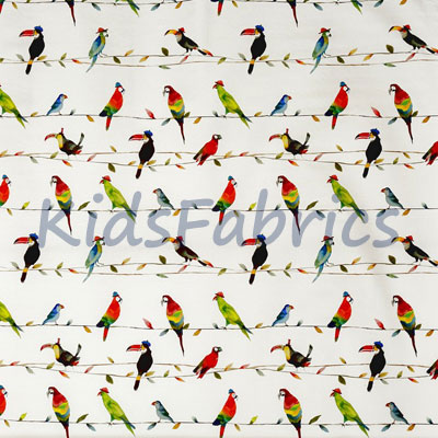 Toucan Talk - Paintbox