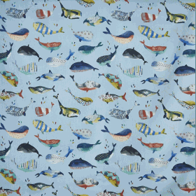Whale Watching - Pacific - £ 18.00 per metre