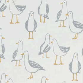 Laridae - Natural - £ 18.00 per metre